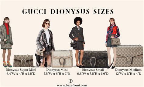 gucci dionysus sizes cm